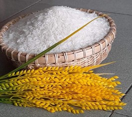 Gạo Lúa Miên