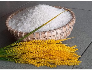 Gạo Lúa Miên